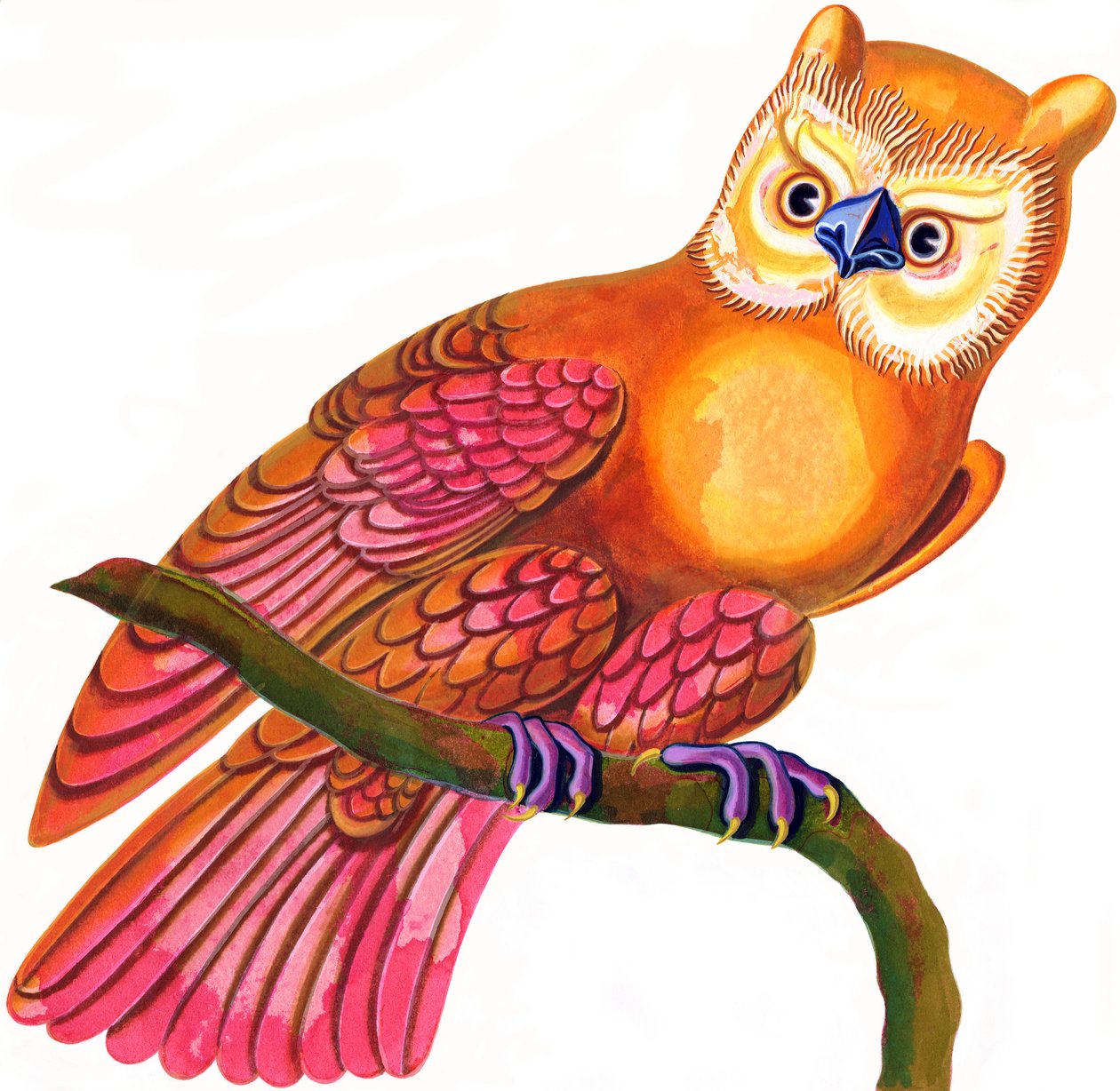 Owl, 1997, (bläck och gouache) av Jane Tattersfield