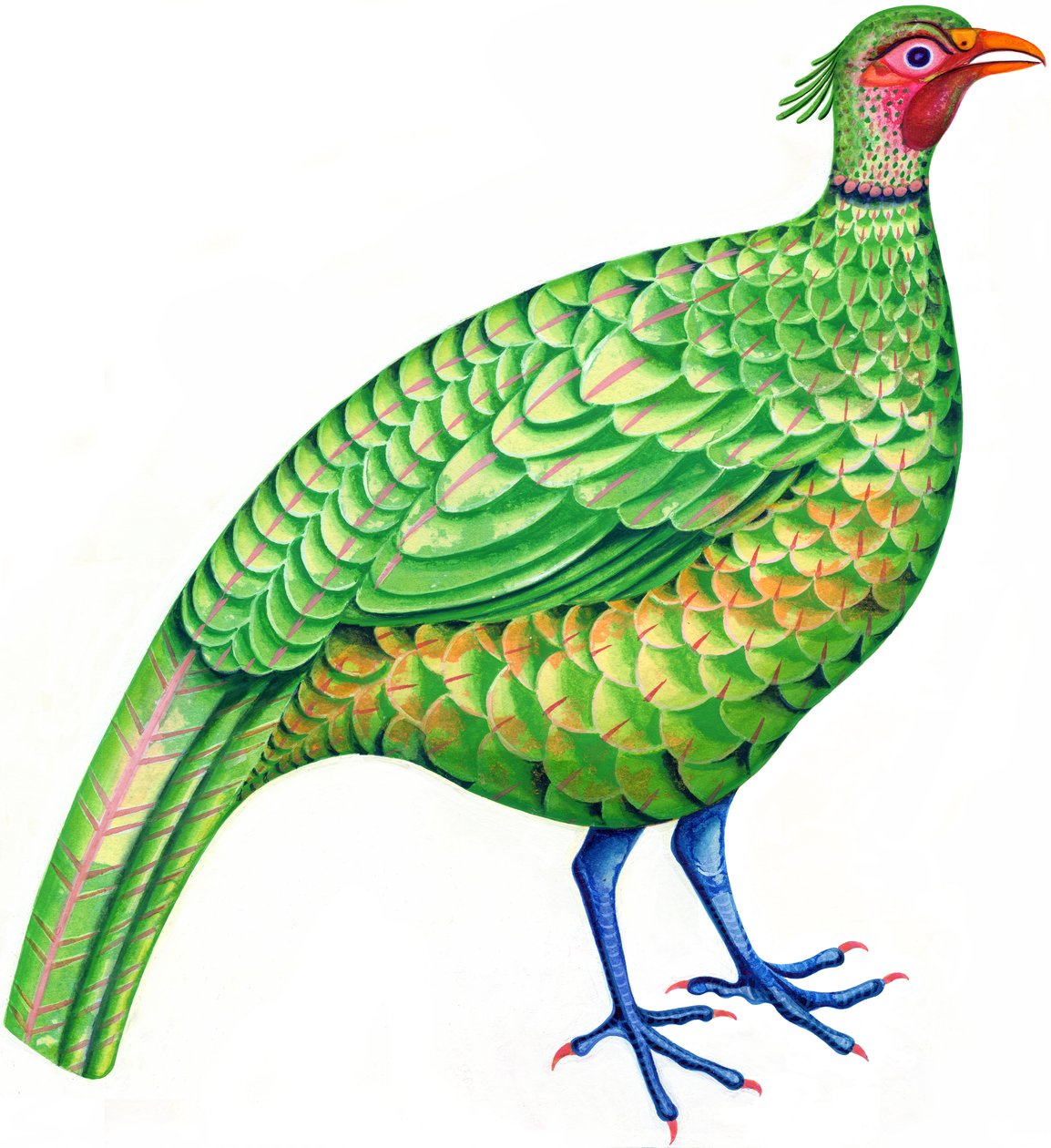 Fasan, 1996 (bläck och gouache) av Jane Tattersfield