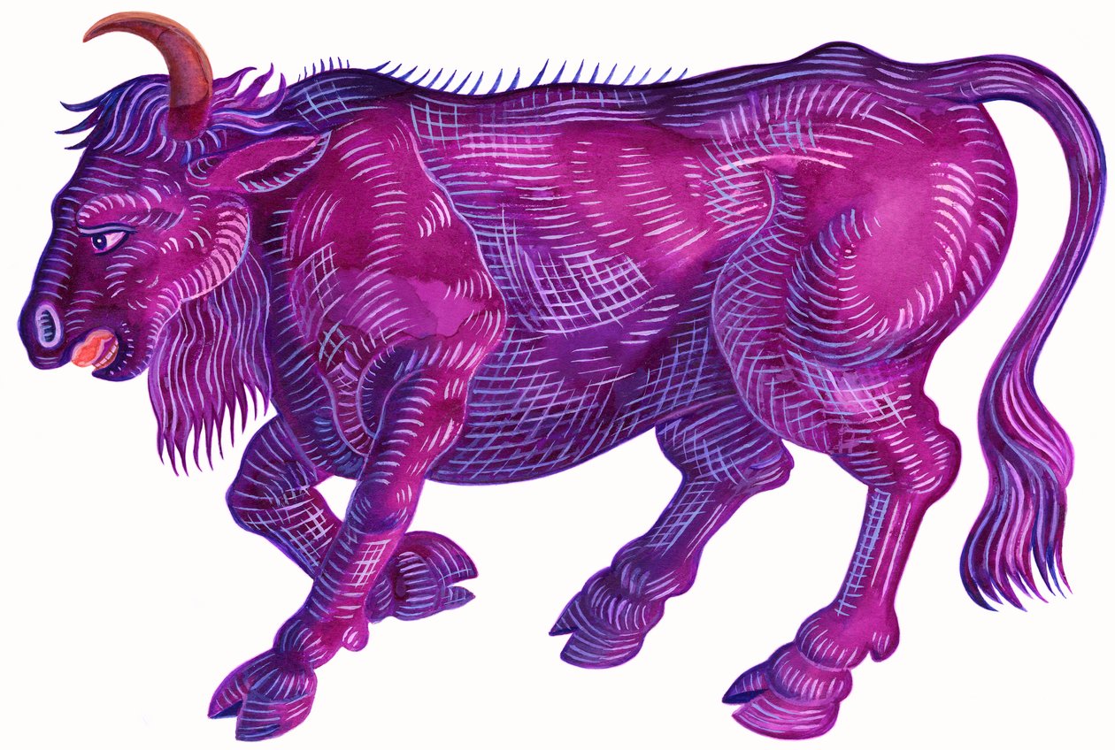 Raging Bull Taurus, 1996, (bläck och gouache) av Jane Tattersfield