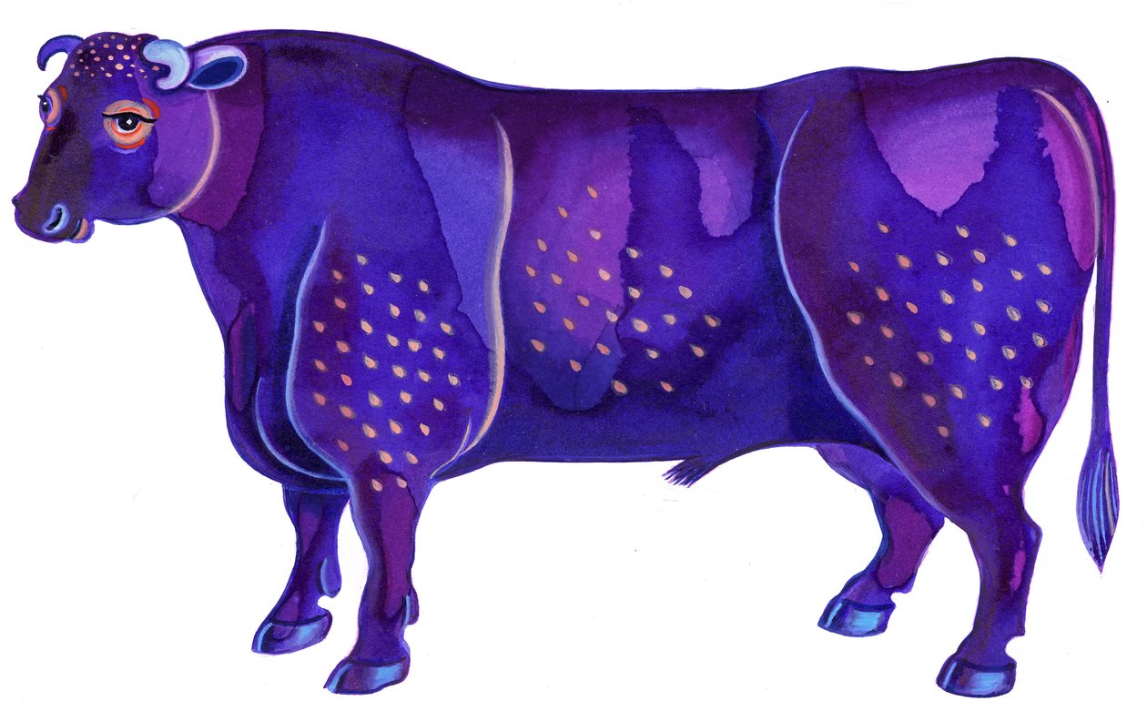Oxen tjuren, 1996, (Bläck och gouache) av Jane Tattersfield