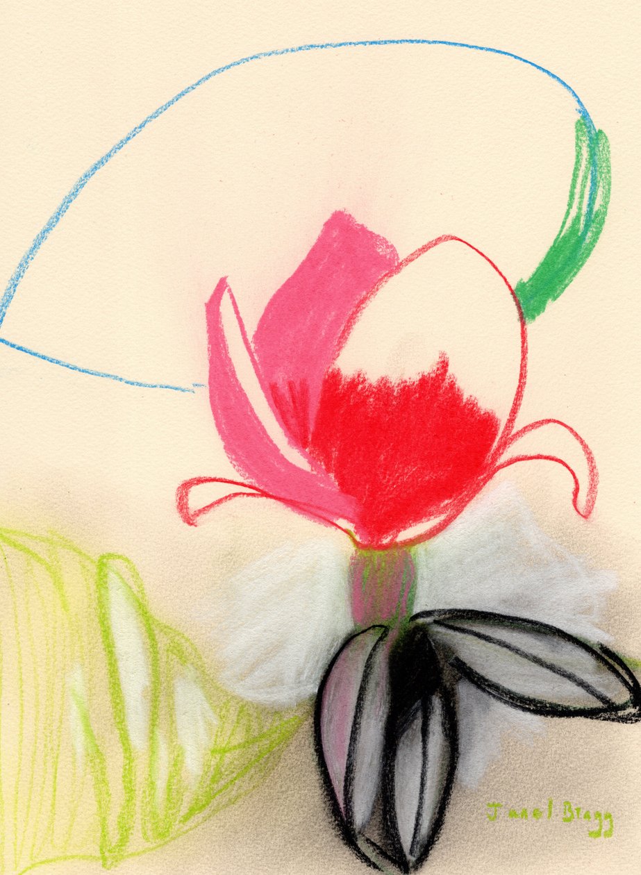 Magnolia i färg, ca 2021 (pastell på papper) av Janel Bragg