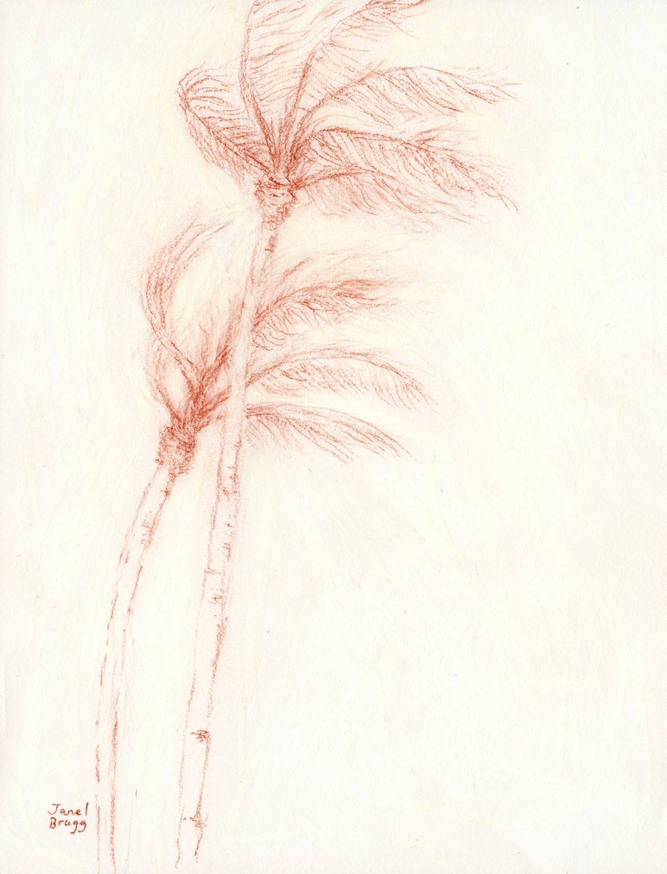 Once Upon a Tropical Vacation Palm Trees, ca 2019 (blyerts på papper) av Janel Bragg