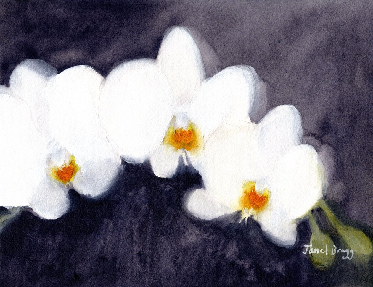 Orchid White Phalaenopsis, ca 2021 (akvarell och kasein på papper) av Janel Bragg