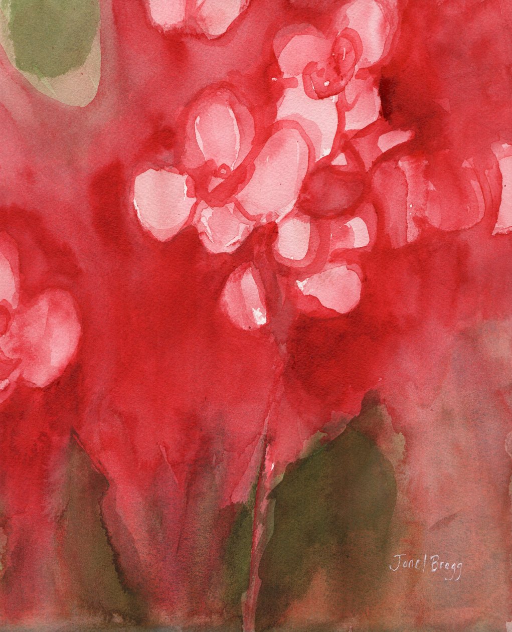 Orkidé i Allzarin Crimson, ca 2017 (akvarell på papper) av Janel Bragg