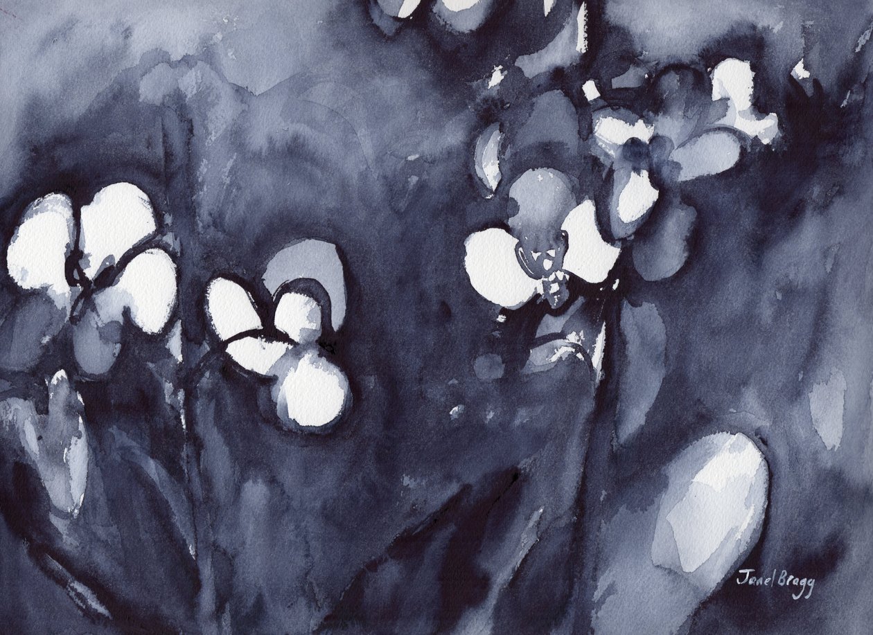 Orchid in Indigo, ca 2017 (akvarell på papper) av Janel Bragg