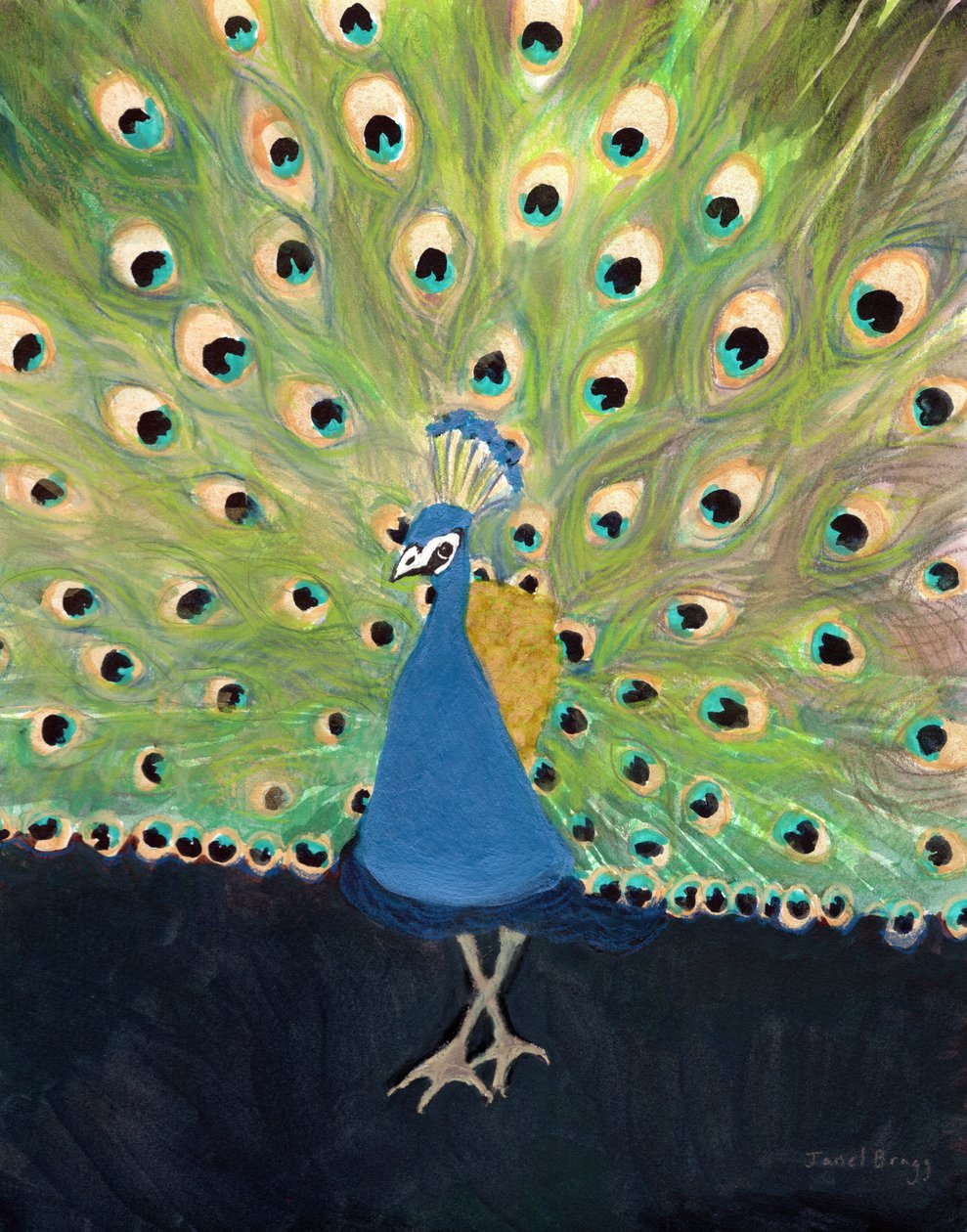 Peacock at Woodland Park Zoo, ca 2024 (blandteknik på papper) av Janel Bragg