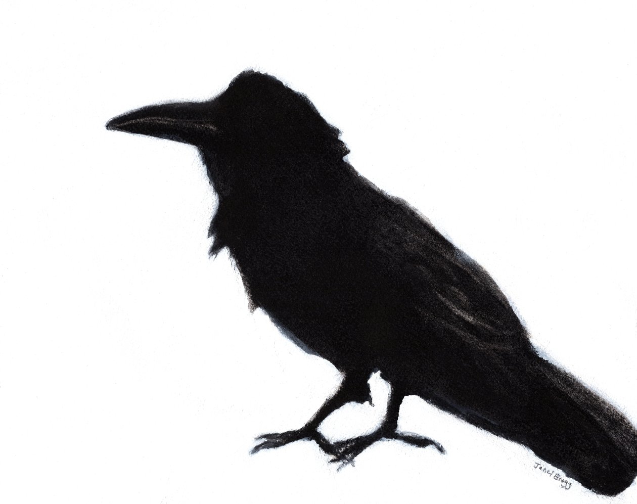 Raven at Baker Beach, ca 2023 (blandteknik på papper) av Janel Bragg