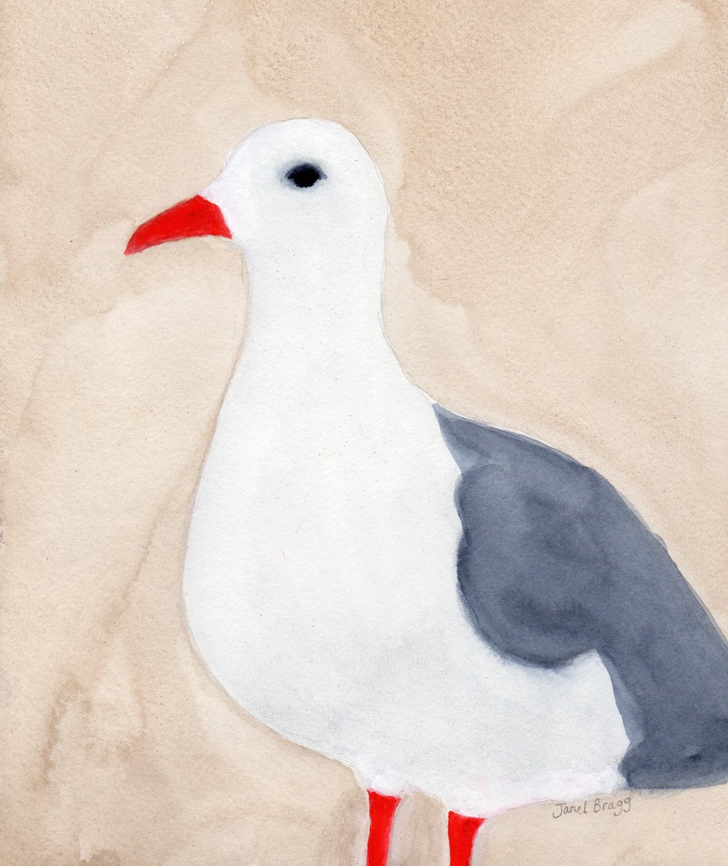 Seagull from Anacortes II, ca 2018 (akvarell och blyerts på papper) av Janel Bragg