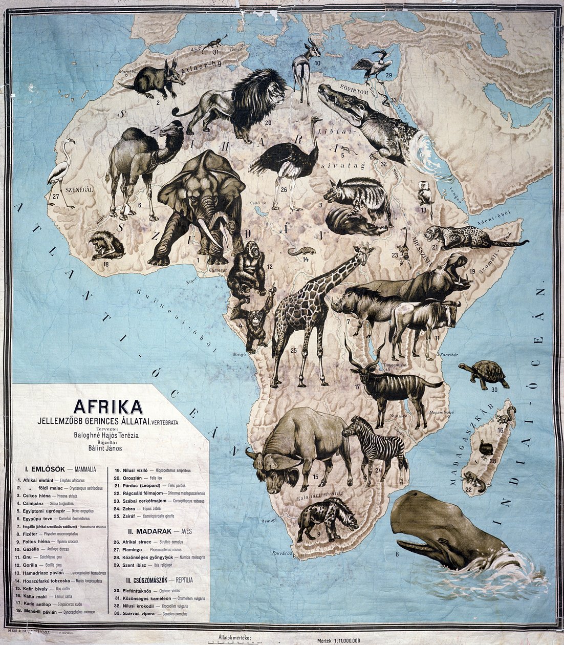 Karta över djur i Afrika (färgstick) Sf av Janos Balint