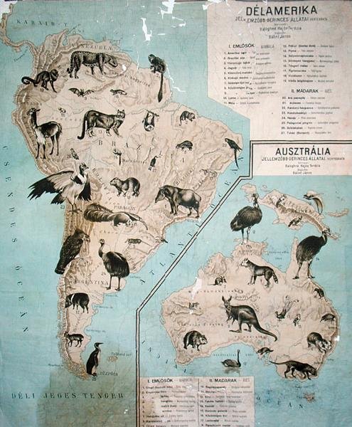 Karta över djur i Sydamerika och Australien av Janos Balint