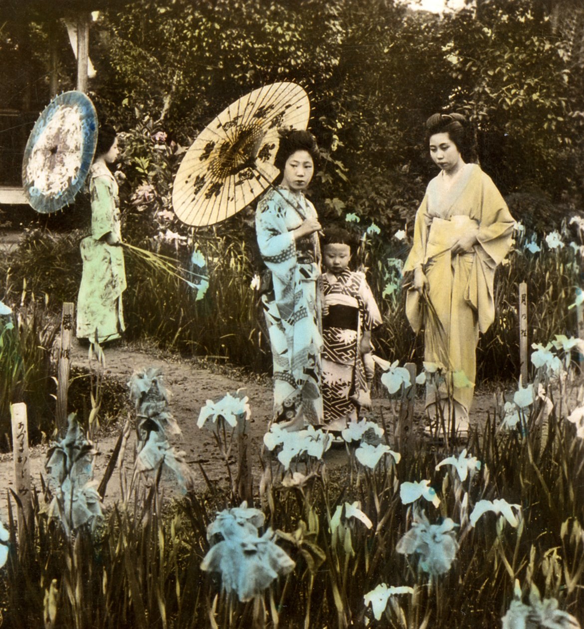 A Walk in the Iris Garden, ca 1900 (albumfoto) av Japanese Photographer
