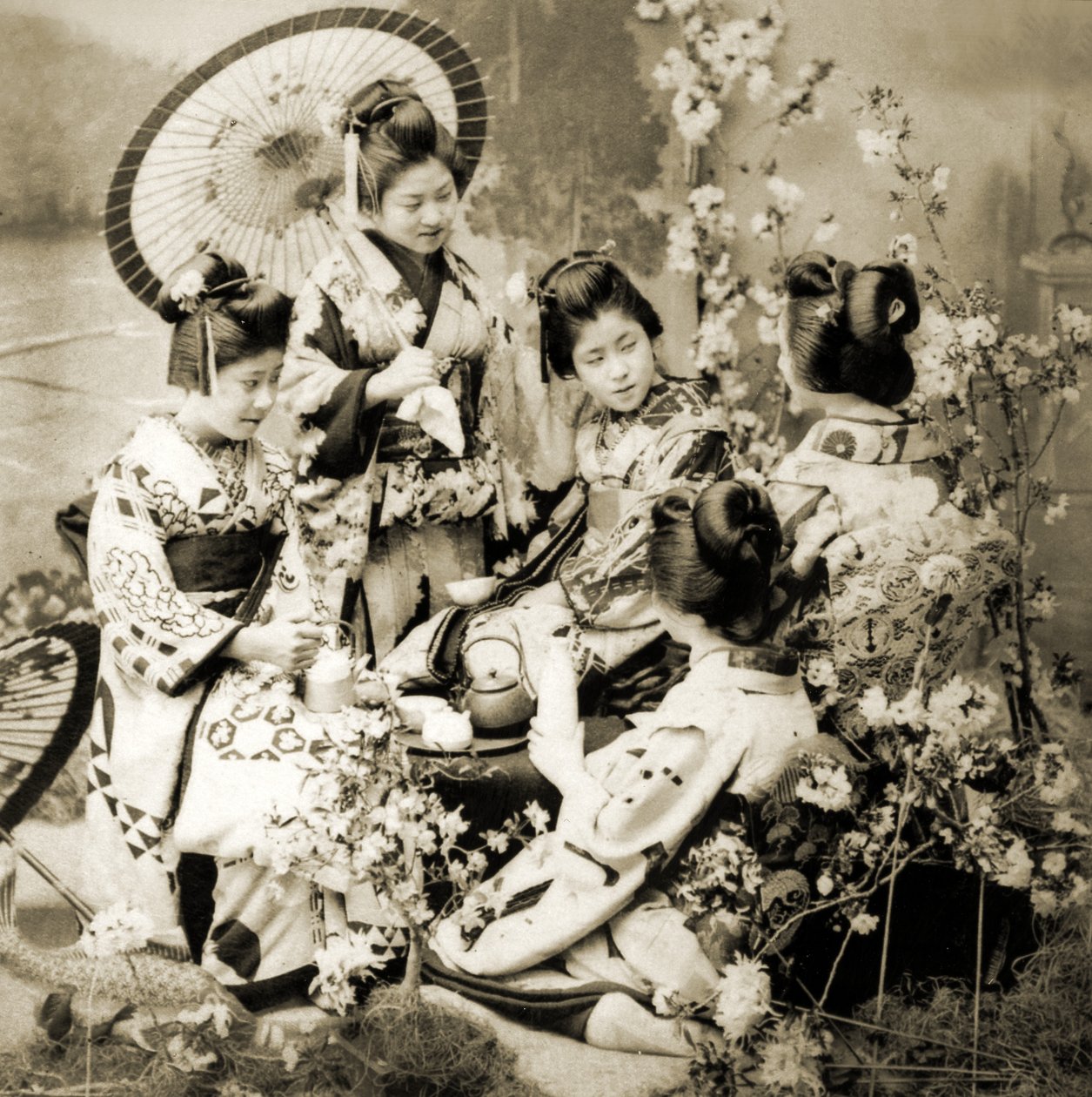 Among the Cherry Blossoms, c.1900 (albumfoto) av Japanese Photographer