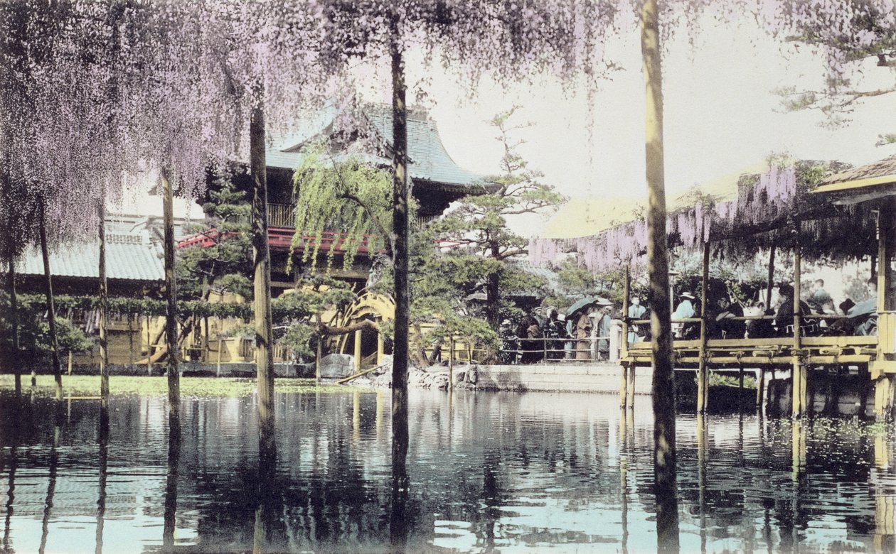 Wisteria blommar över dammen i Kameido Temple Gardens, Tokyo, sent 1800-tal (handfärgat foto) (se även 172943) av Japanese Photographer