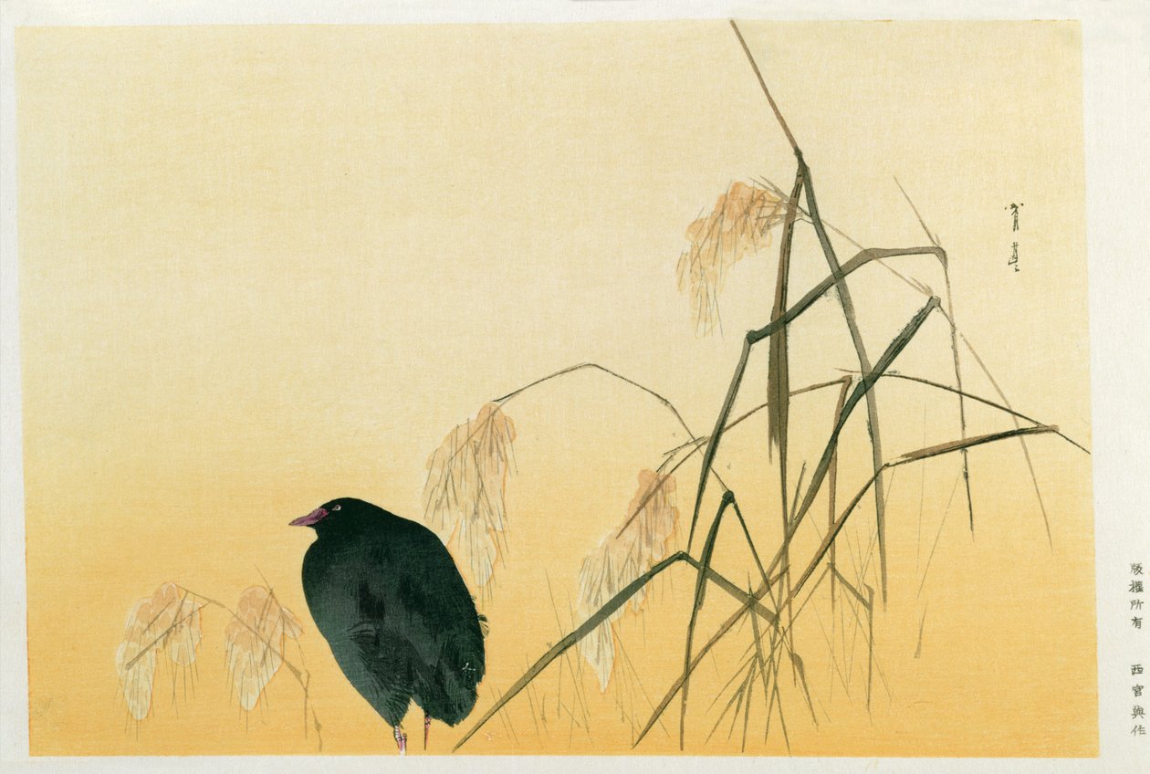 Blackbird, Edo Period (silkesrulle) av Japanese School