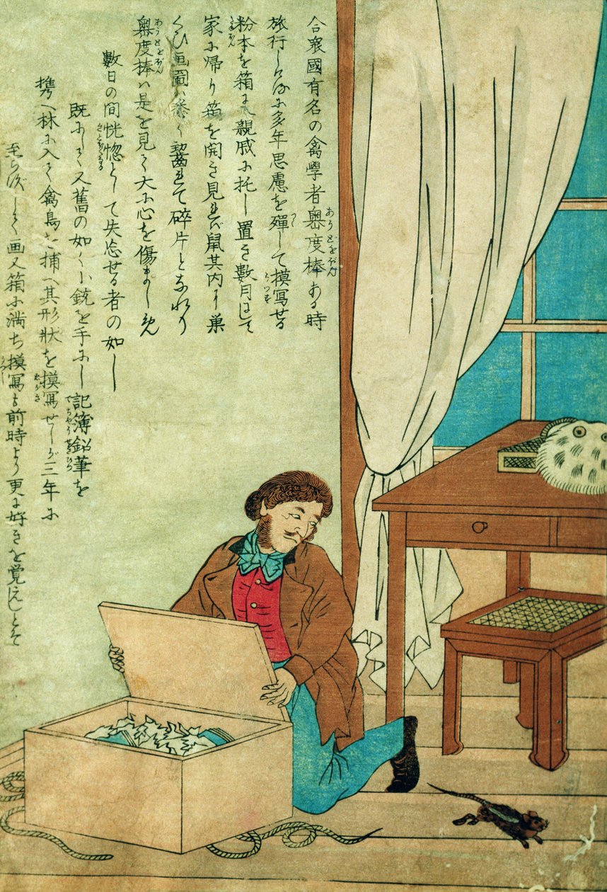 JJ Audubon (1785-1851) på en resa till Japan upptäcker en råtta, ca 1840 av Japanese School