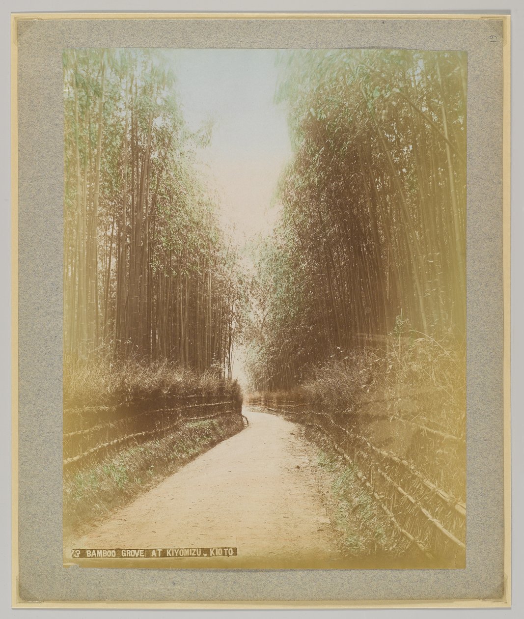 Bamboo Grove i Kiyomizu, Kyoto, Japan (handfärgat svartvitt foto) av Japanese Photographer