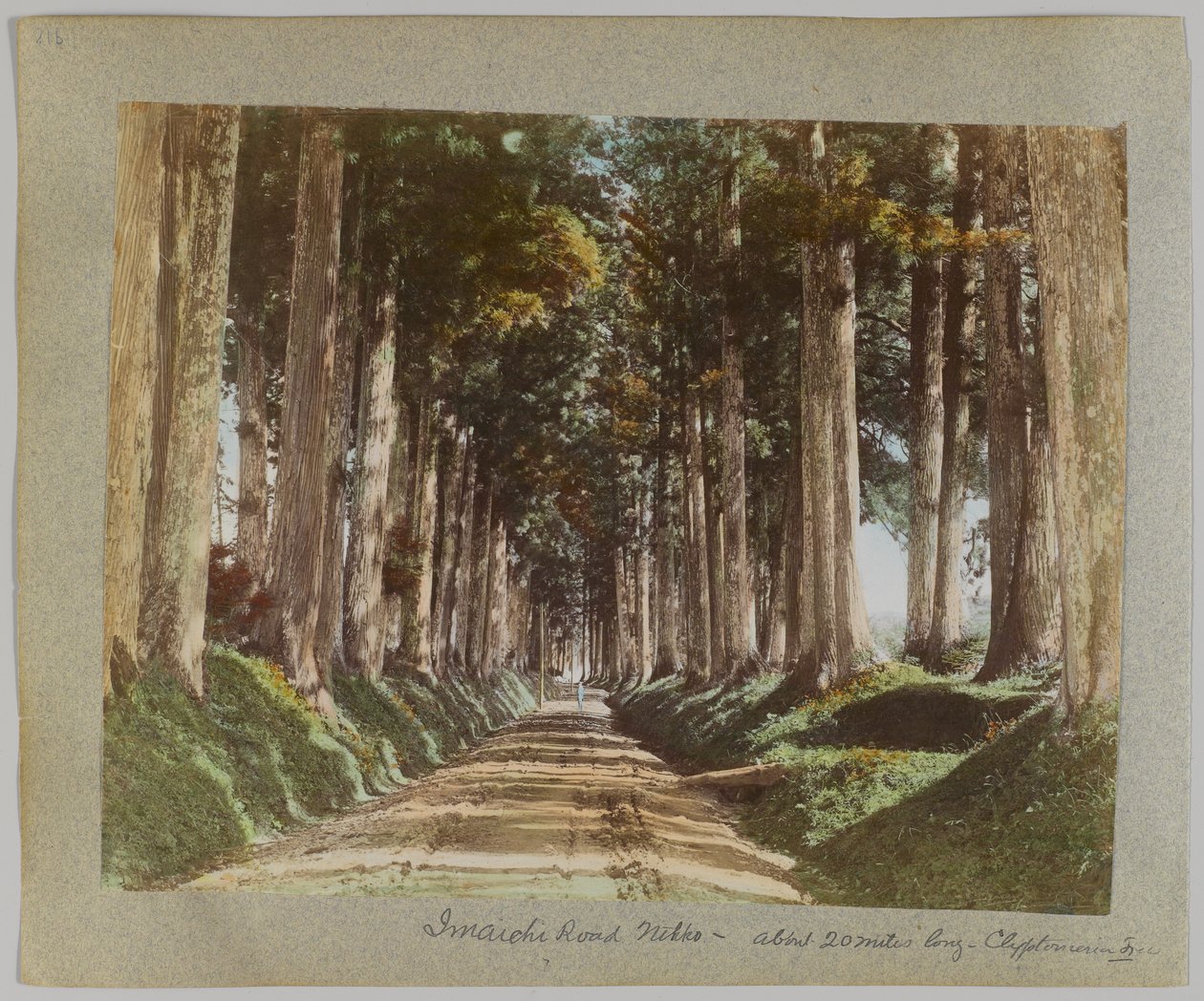 Imaichi Road, Nikko, Japan (handfärgat svartvitt foto) av Japanese Photographer