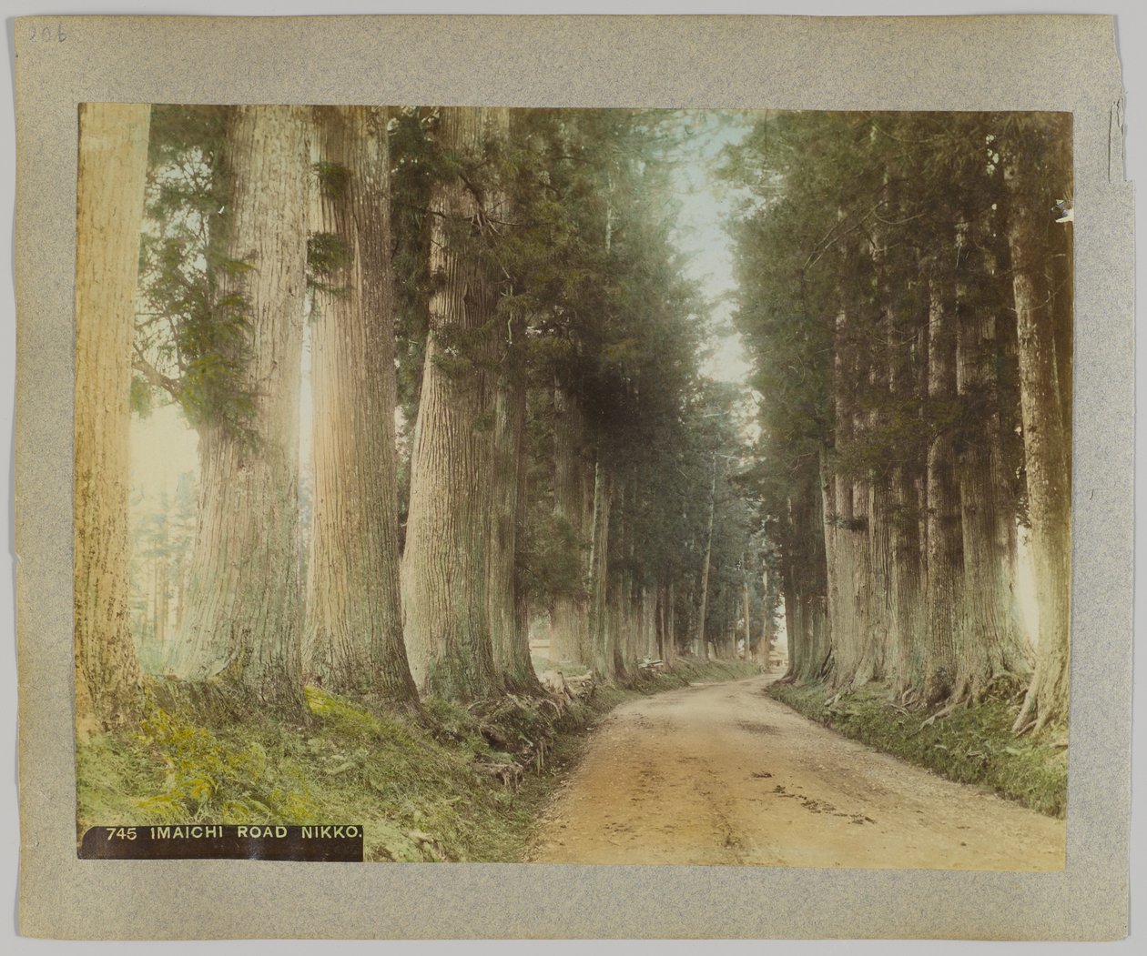Imaichi Road, Nikko, Japan (handfärgat svartvitt foto) av Japanese Photographer