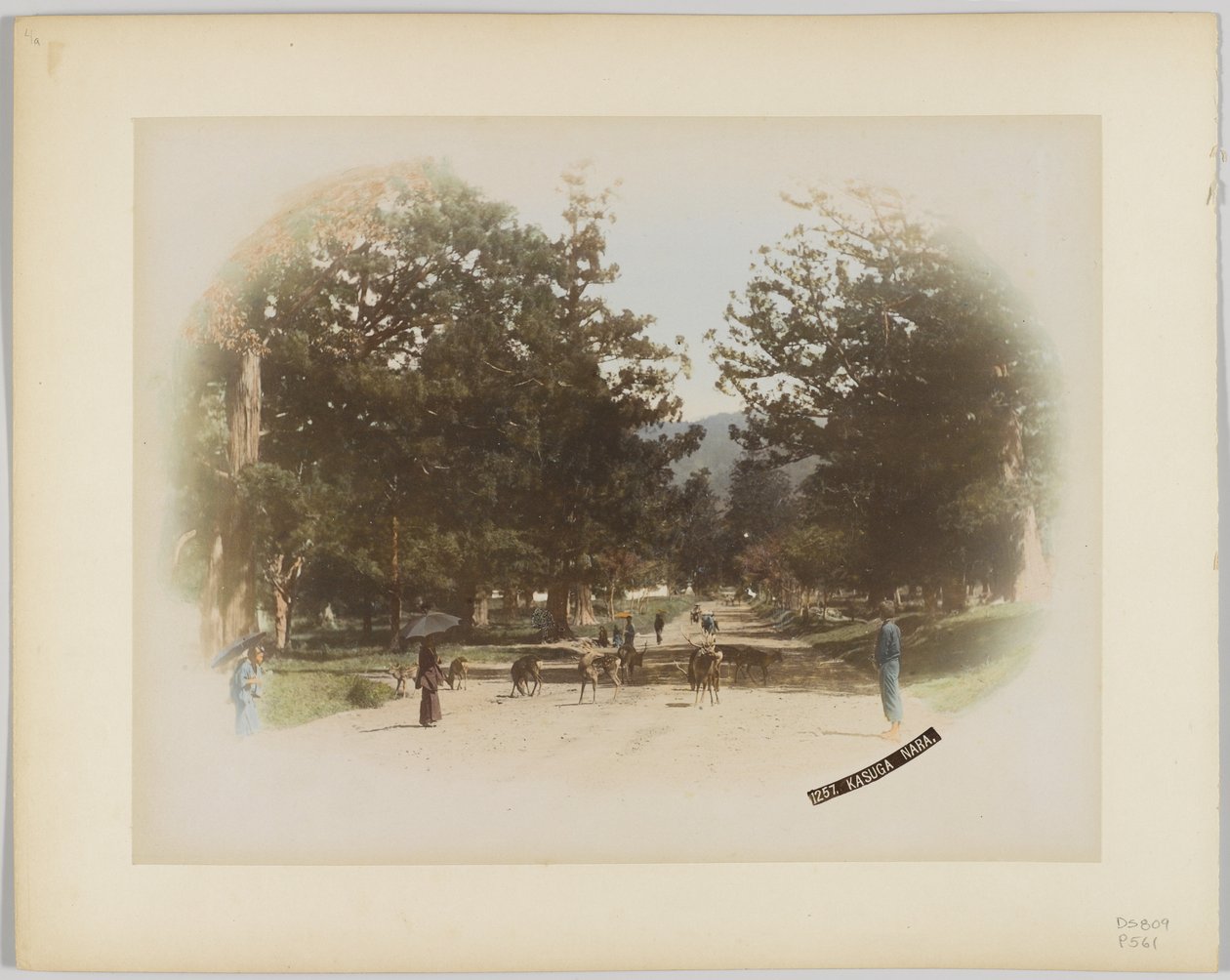 Kasuga, Nara, Japan (handfärgat svartvitt foto) av Japanese Photographer