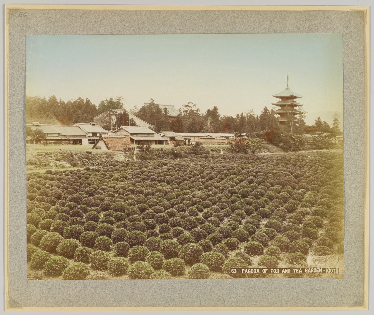 Pagoda of Toji and Tea Garden, Kyoto, Japan (handfärgat svartvitt foto) av Japanese Photographer