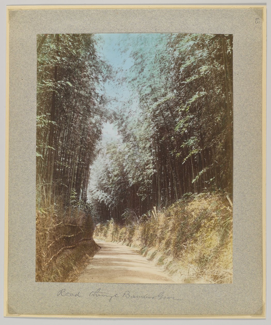 Väg genom en bambulund, Japan (handfärgat svartvitt foto) av Japanese Photographer