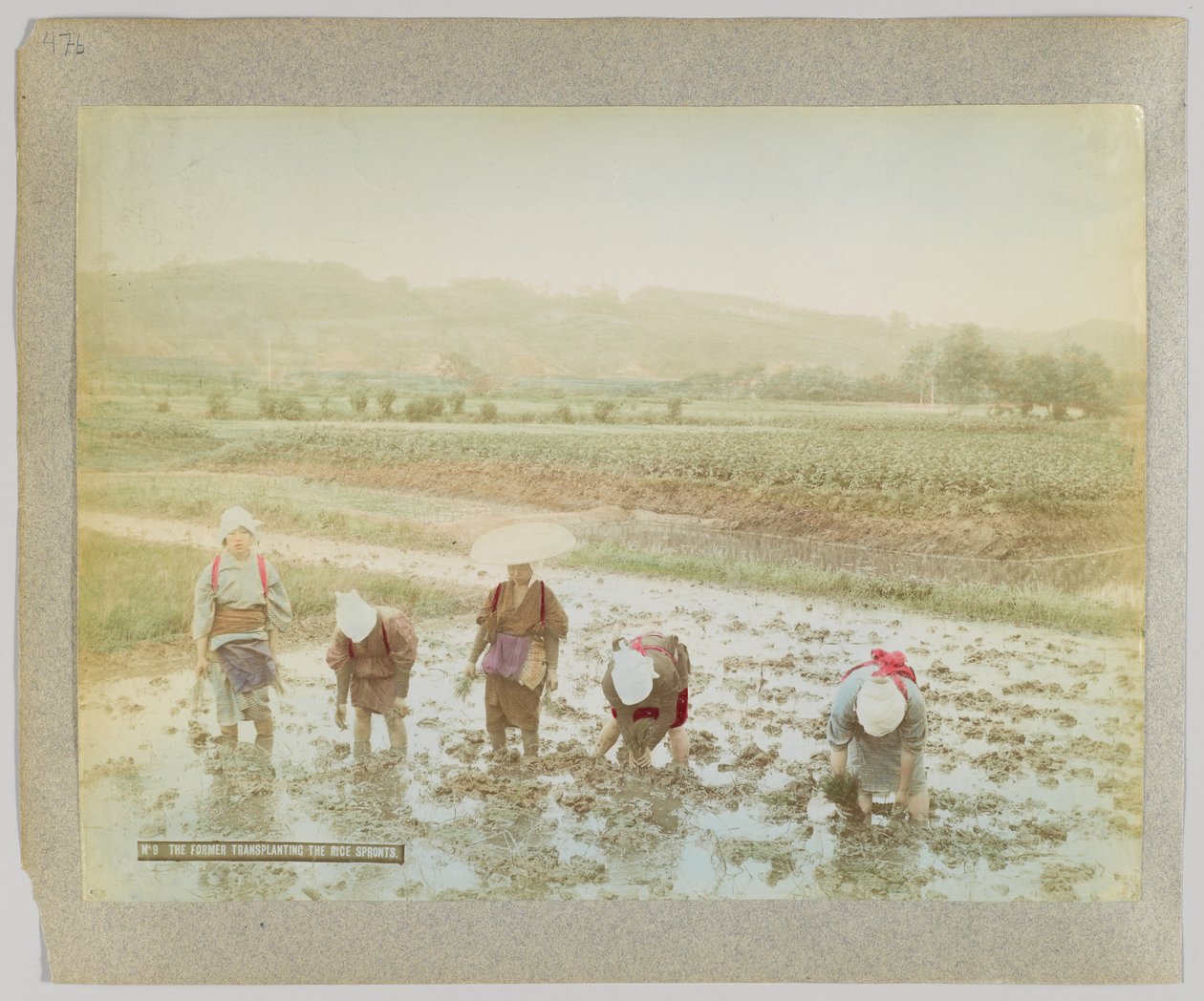 Transplantering av risgroddar, Japan (handfärgat svartvitt foto) av Japanese Photographer