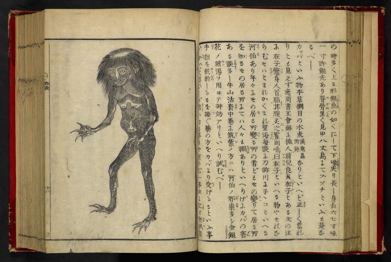 16084.d.15, f.24 A Neneko Kappa, från 