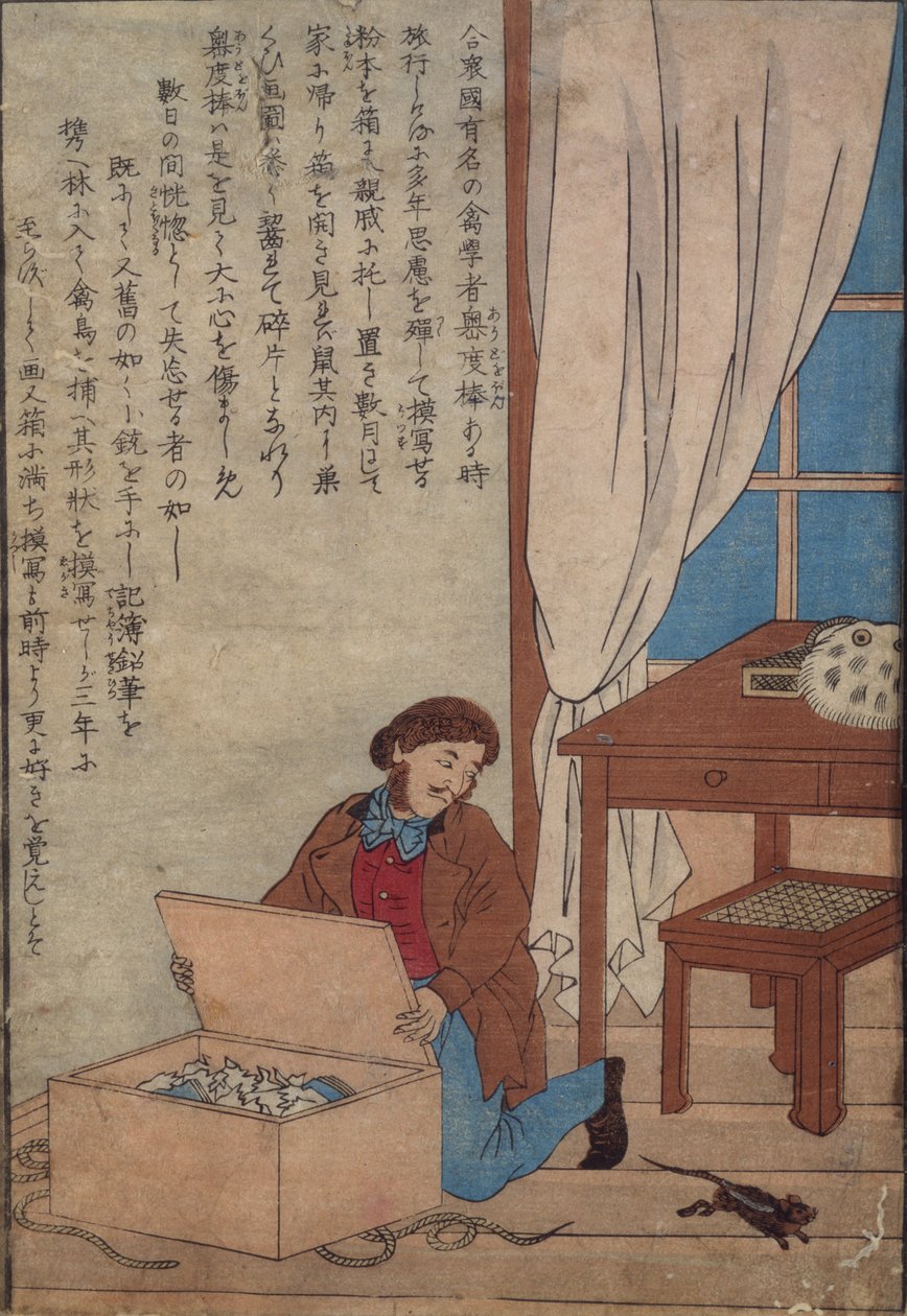 Audubon öppnar sin ask med akvareller förstörd av norska råttor, ca 1872-77 av Japanese School