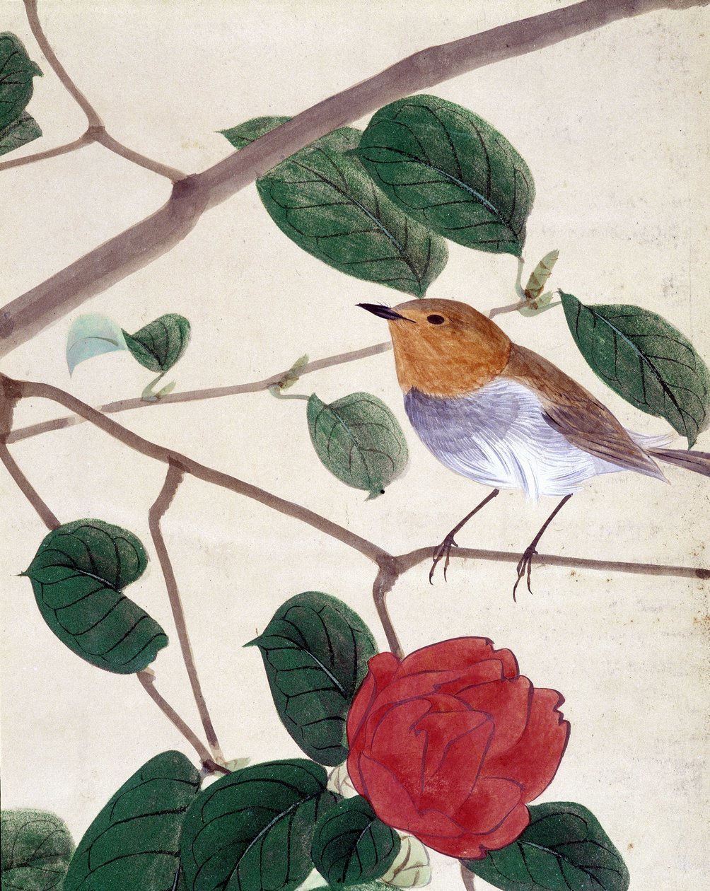 Fågel och blommor. Japansk teckning av Riou Chim, sent 1800-tal. av Japanese School