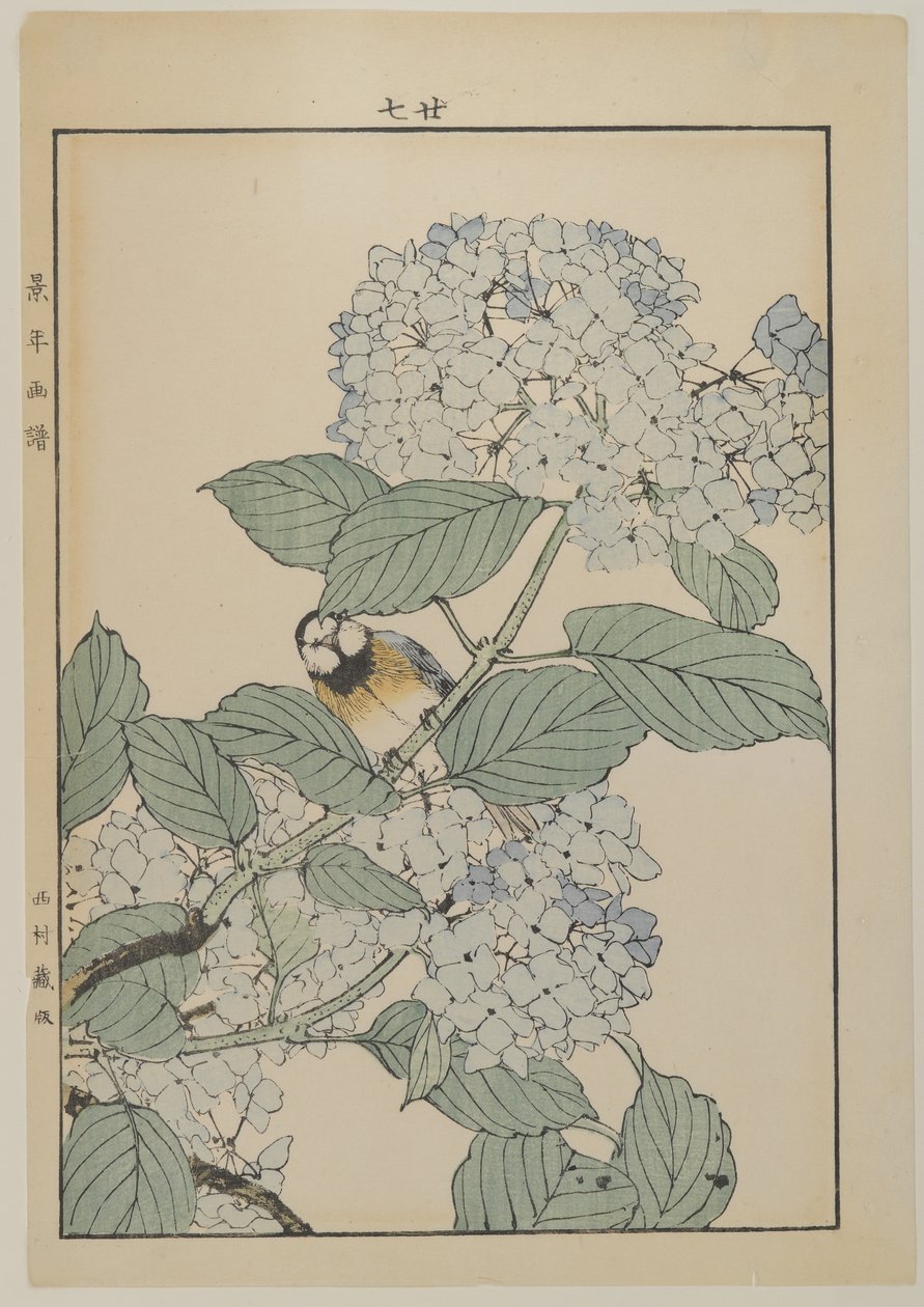 Fågel med hortensia, Meiji-period, ca 1868-1912 (träblock i färg) av Japanese School
