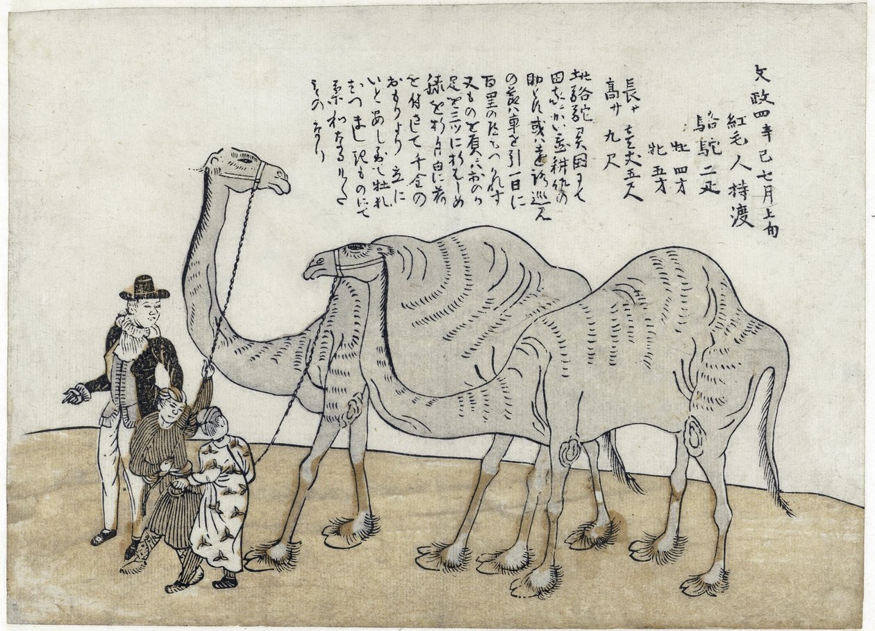 Kamel med hanterare, pub. 1821 (färgat träsnitt) av Japanese School