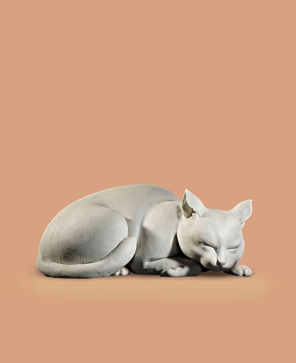 Katt, sen Edo-tidig Meiji-period av Japanese School