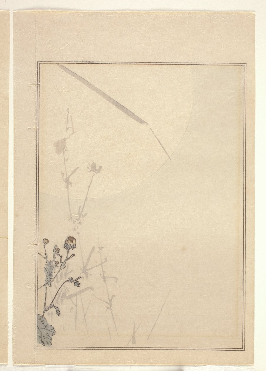 Krysantemum (träblock i färg) (se även 374402) av Japanese School