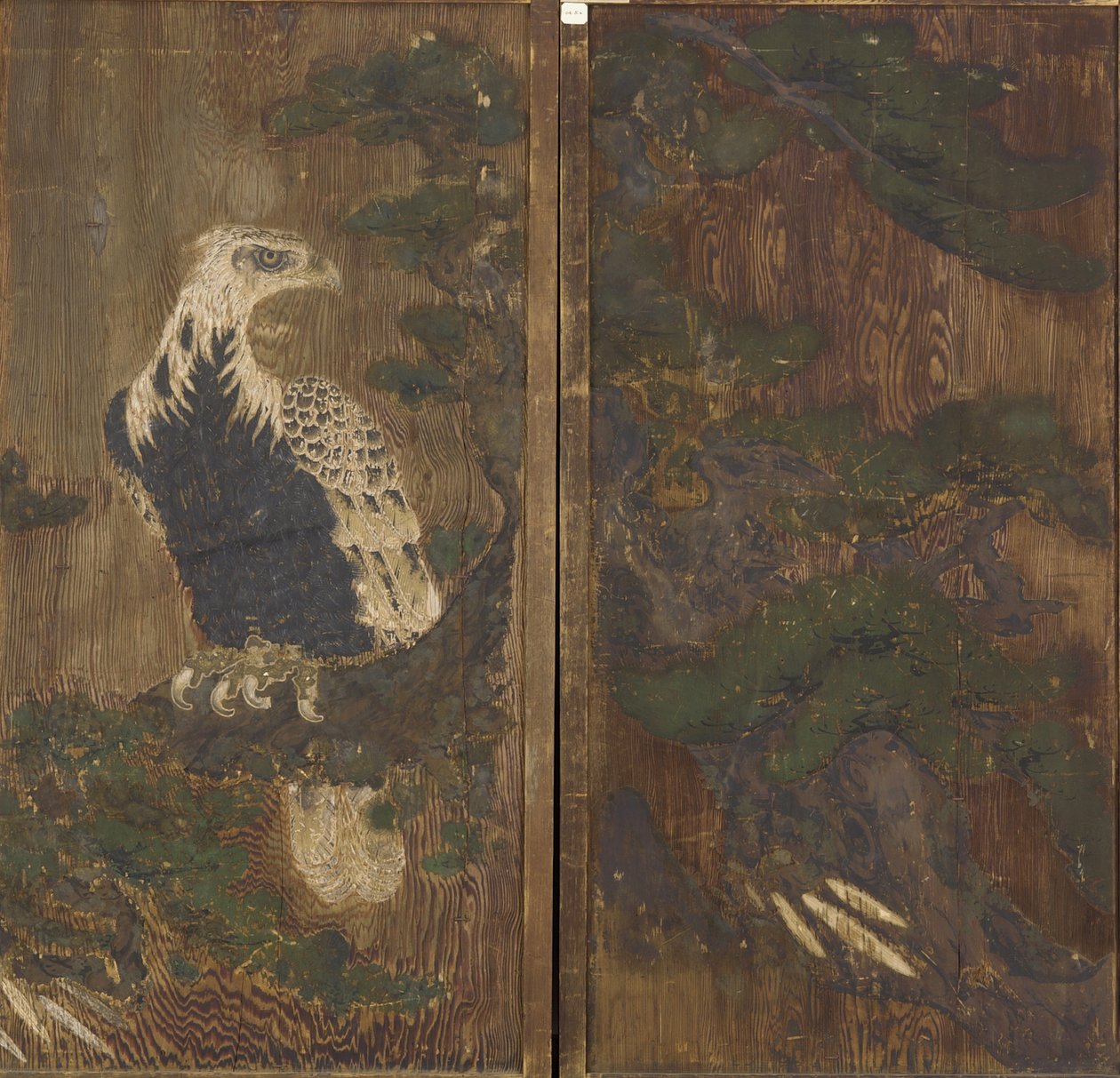 Örn i en tall, Momoyama-period, möjligen 1600-talet (bläck & färg på trä) av Japanese School