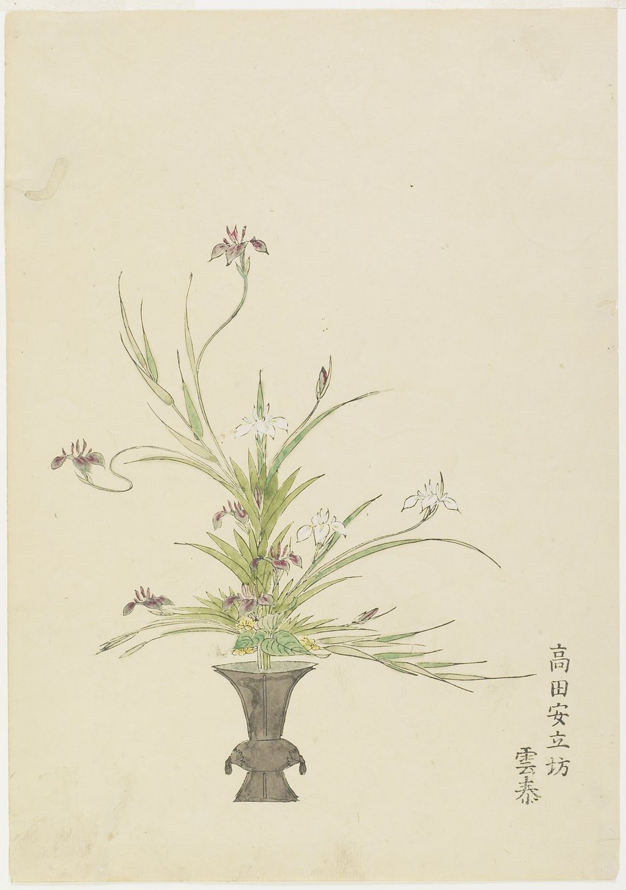 Blomsterarrangemang av Takada Anritsub? Untai, Iris (handfärgat träblockstryck) av Japanese School