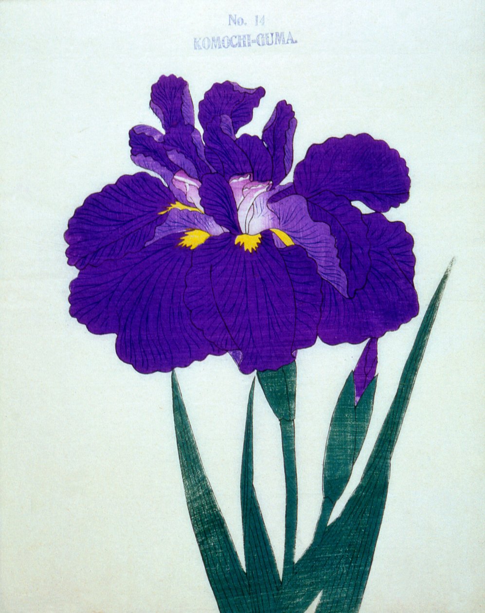 Barnfödande björn. 14, 1898 av Japanese School