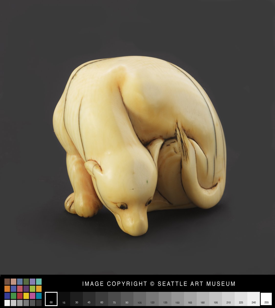 Netsuke modellerades som en liggande hund, tidigt 1800-talet (elfenben) av Japanese School