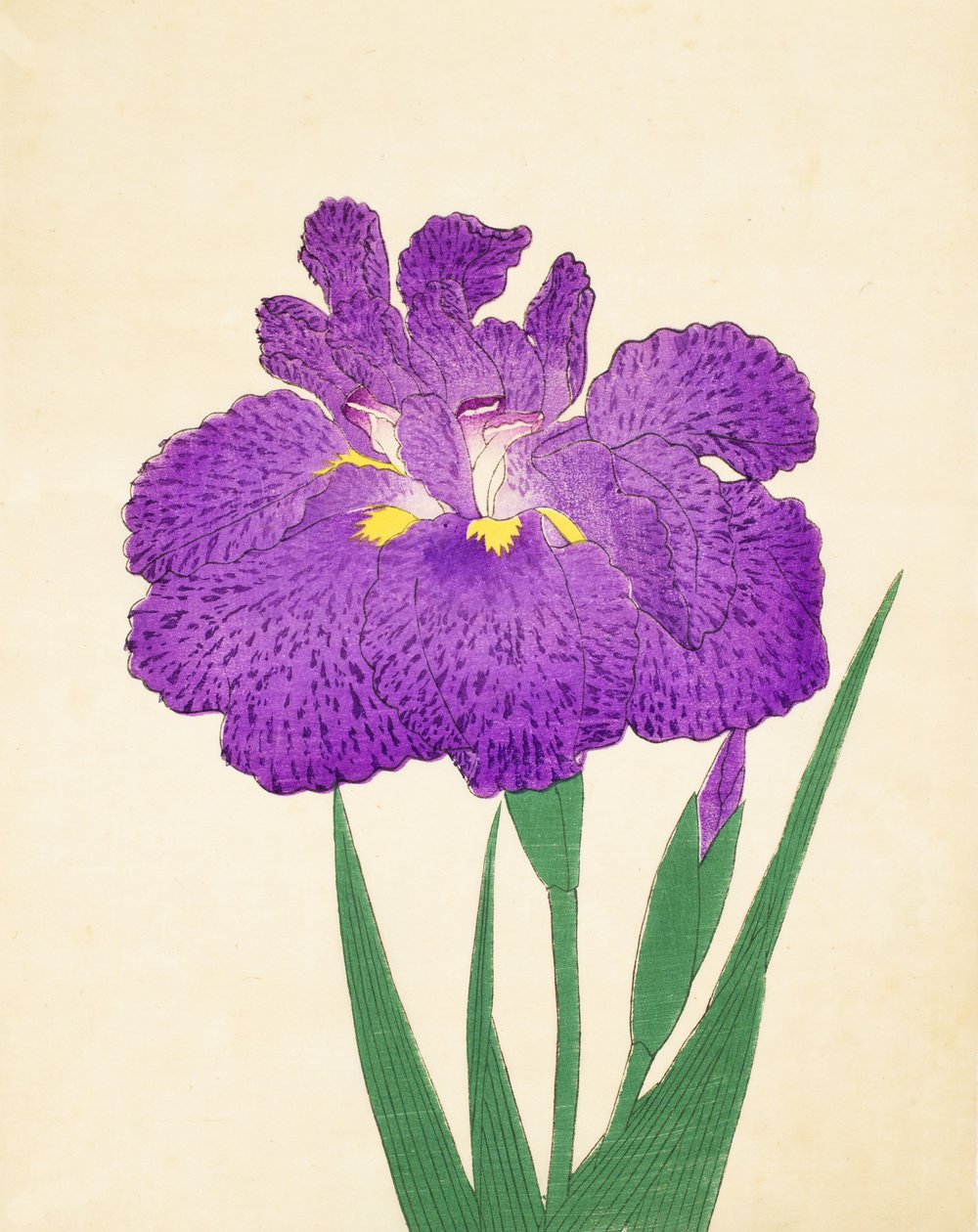 Sprid det på Nyo. 11, 1898 av Japanese School