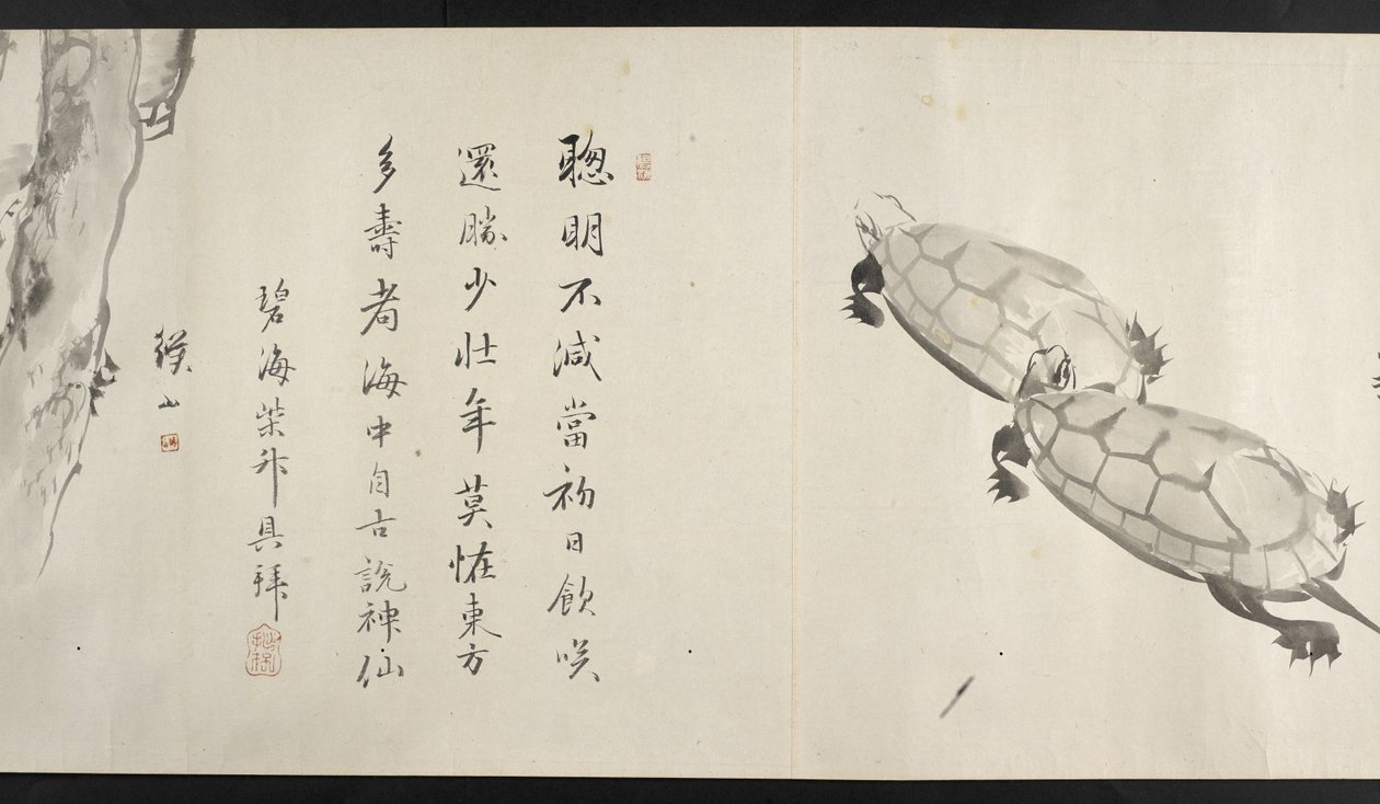 Eller. 14872, f.36, Två sköldpaddor, från Yoshida Seisai (handscroll) av Japanese School