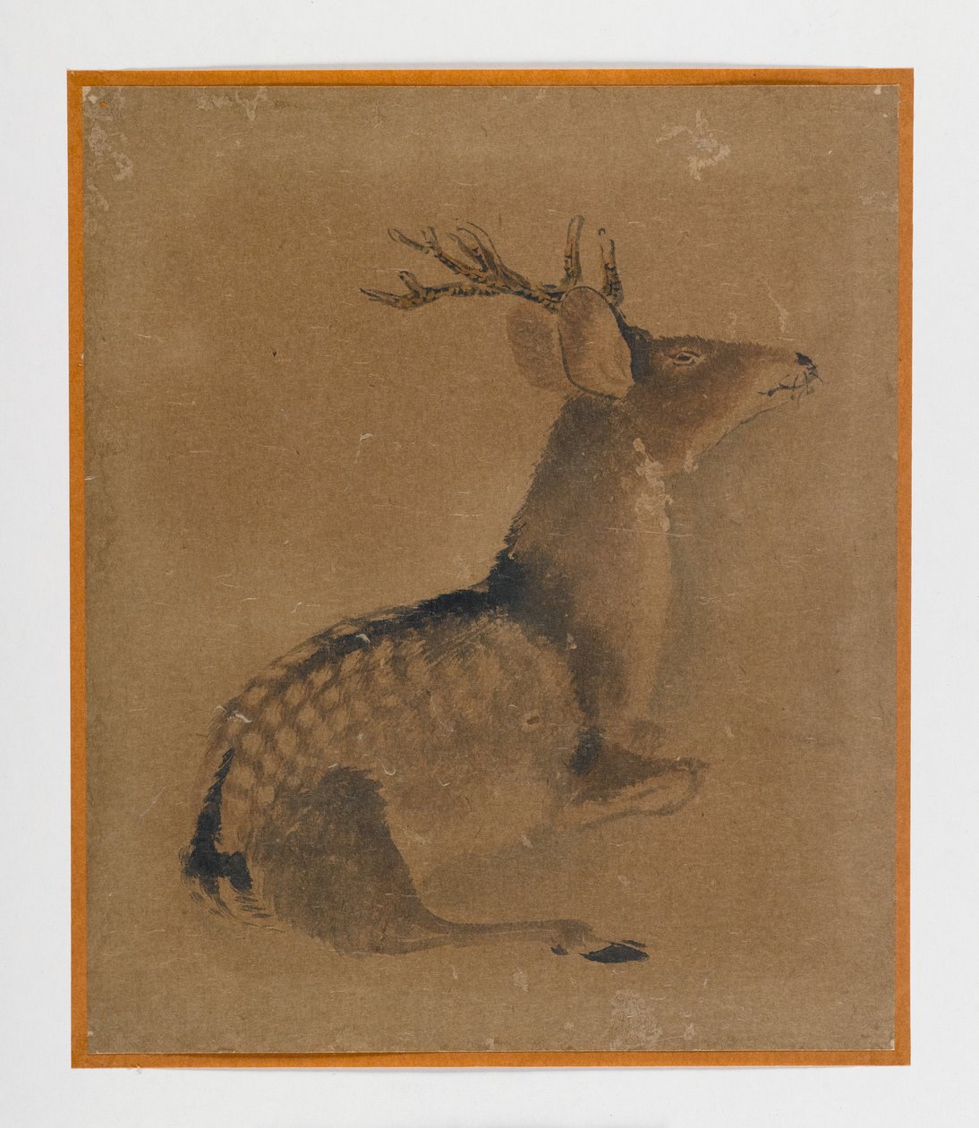 Liggande rådjur (bläck & sepia på papper) av Japanese School