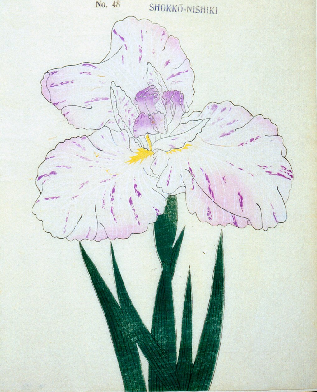 Shokko Nishiki, av. 48, 1898 av Japanese School