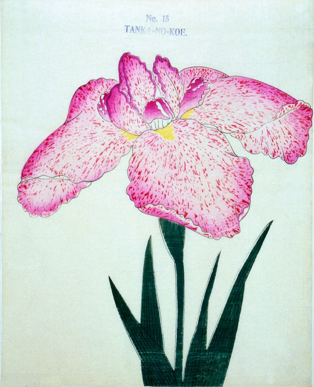Av ett tankfartyg. -Bortom. 15, 1898 av Japanese School
