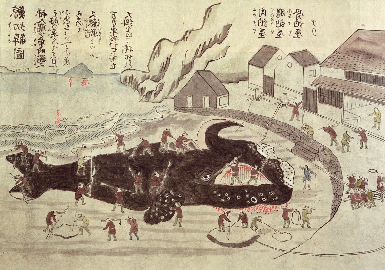 The Joining of a Whale, sent 1800-tal (färggravyr) av Japanese School