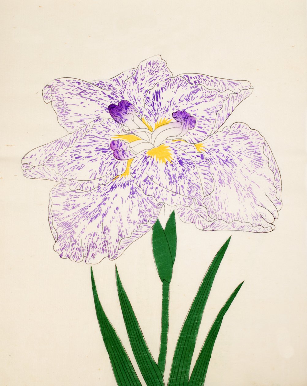 Yamato Nishiki. 31, 1890 av Japanese School