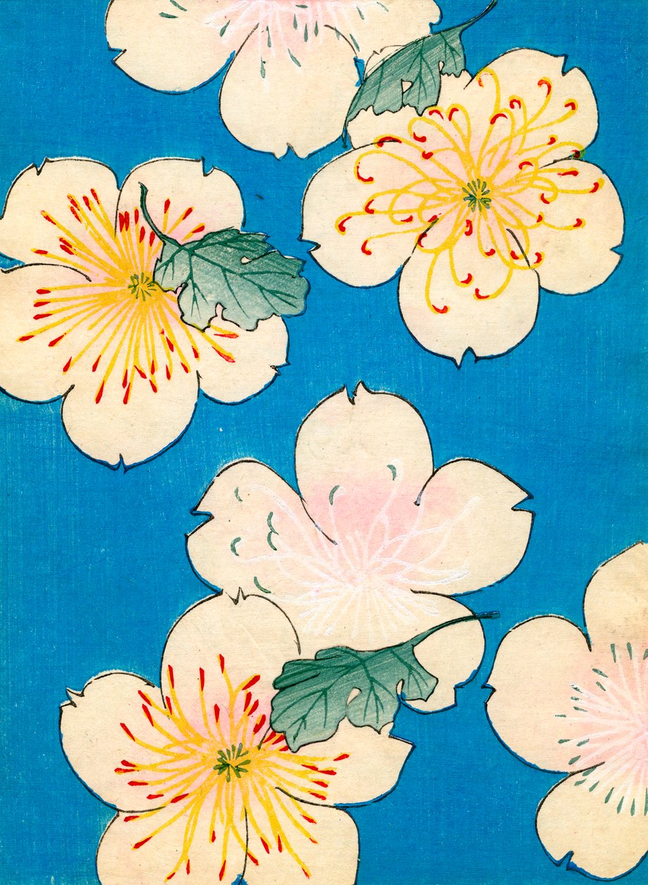 färg träblock tryck av Dogwood Blossoms av Japanese School