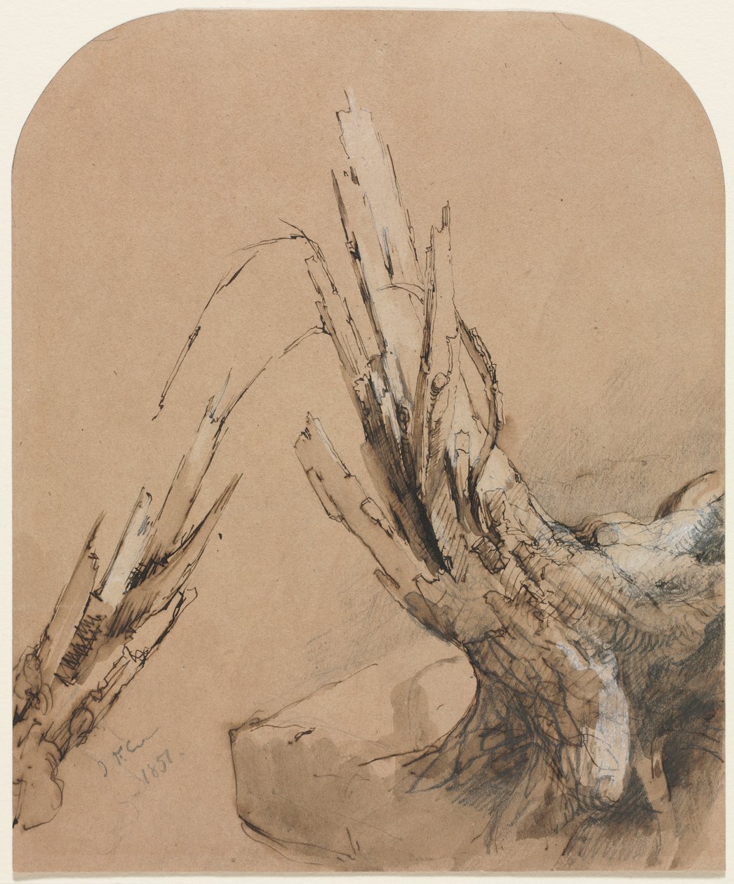 Ett sprängt träd (recto) av Jasper F. Cropsey
