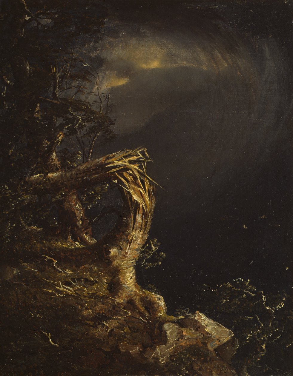 Sprängt träd, 1850. av Jasper Francis Cropsey