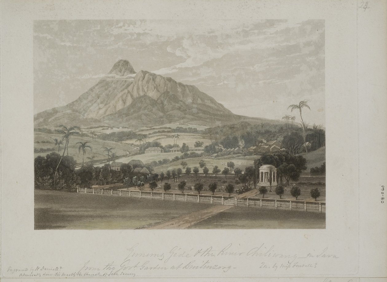 Trädgård på Buitenzorg (akvatint) av Javanese School