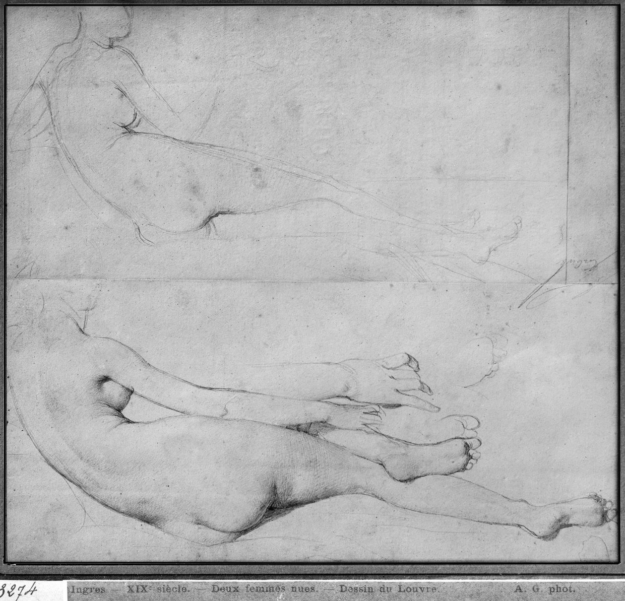 Studier för The Grande Odalisque (grafit på papper) (se även 233243) av Jean Auguste Dominique Ingres