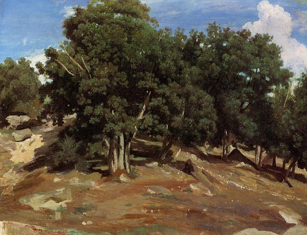 Black Oaks of Bas-Breau  av Jean Baptiste Camille Corot
